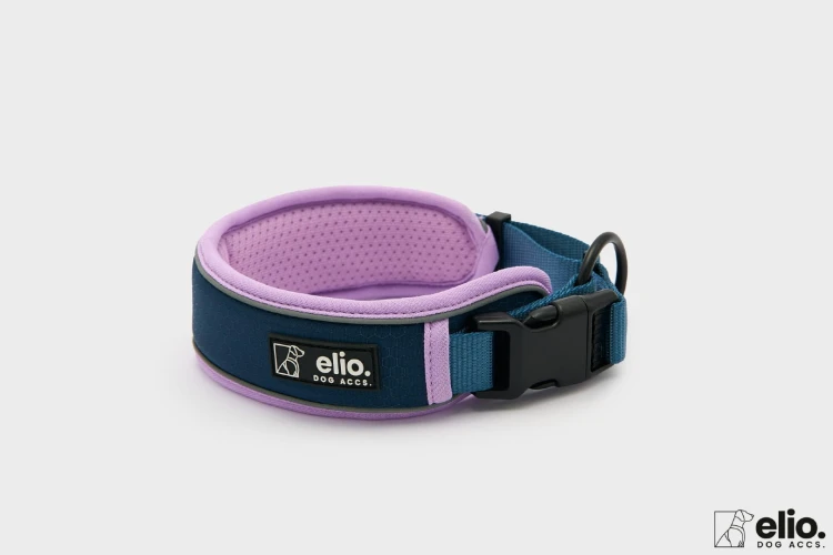 Obroża Trail Explorer Midnight Drift