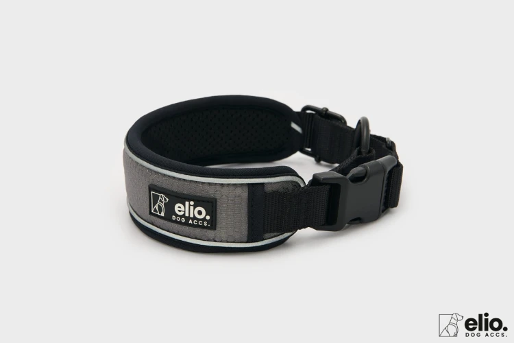 Obroża Trail Explorer Rock Grey