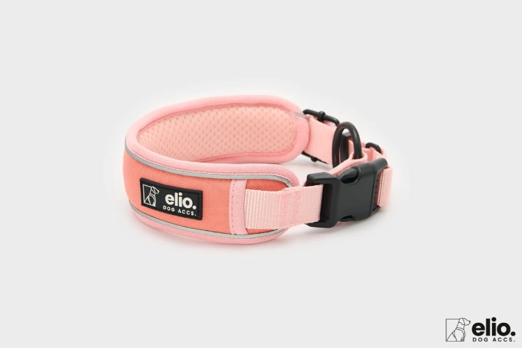 Obroża Trail Explorer Salmon Pink
