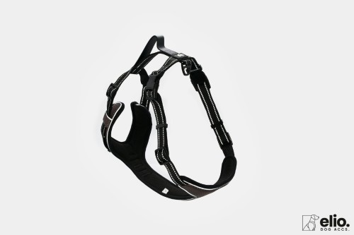 Szelki Trail Explorer - Rock Grey