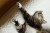 kot odpoczywający na legowisku ortopedycznym  elio.bed,  cat on elio.bed