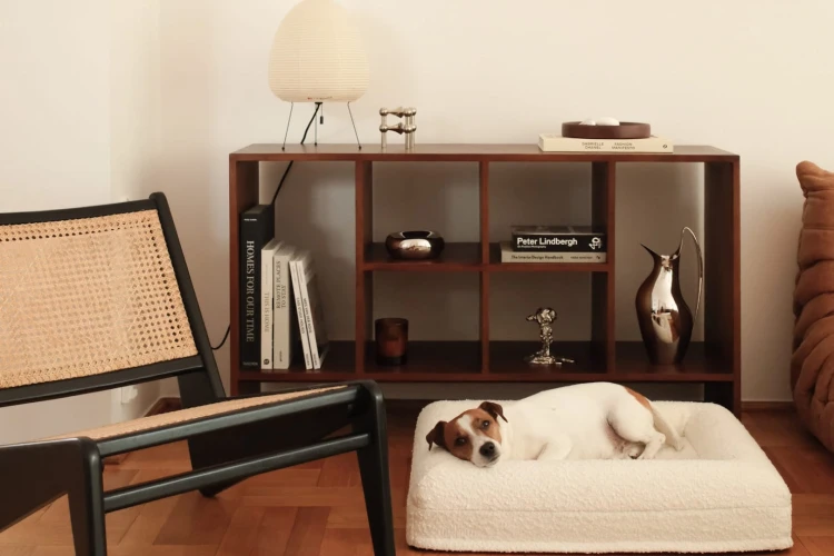 legowisko ortopedyczne dla psa w nowoczesnym wnętrzu elio.bed interior