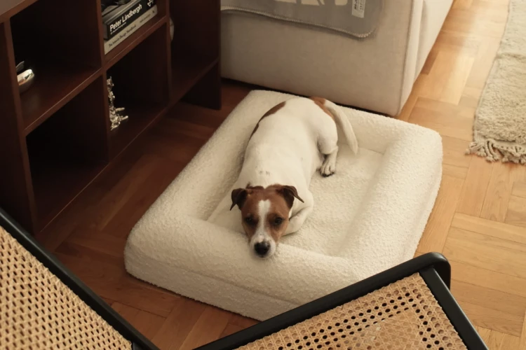 legowisko ortopedyczne dla psa w nowoczesnym wnętrzu elio.bed interior