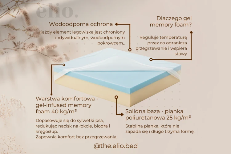 solidne jak twoja milosc do psa 1x1 (1620 x 1080 px) (1).png