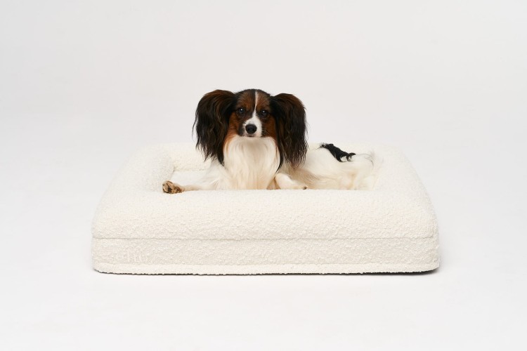 legowisko ortopedyczne dla psa boucle cream SMALL