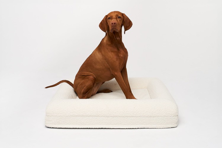 legowisko ortopedyczne dla psa elio.bed cream boucle MEDIUM