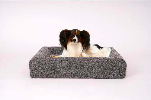 Untitled design (1).png