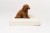 legowisko ortopedyczne dla psa boucle cream SMALL