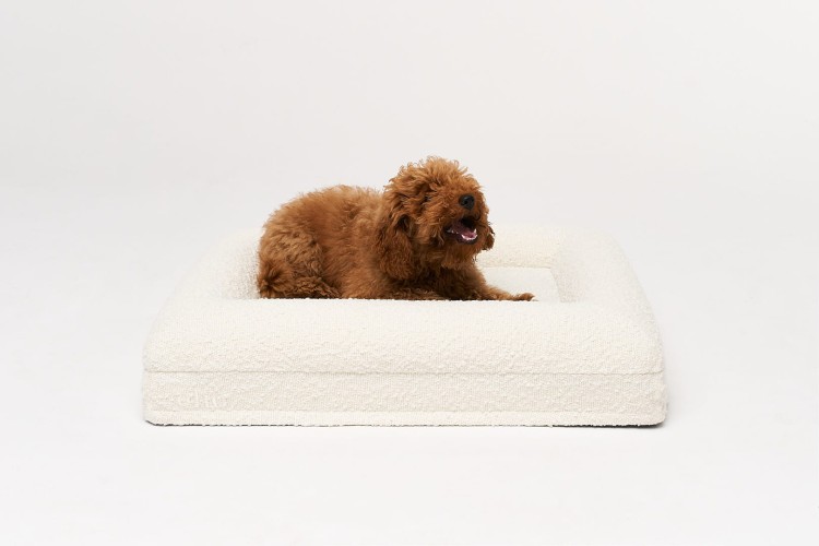 legowisko ortopedyczne dla psa boucle cream SMALL