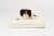 legowisko ortopedyczne dla psa boucle cream SMALL