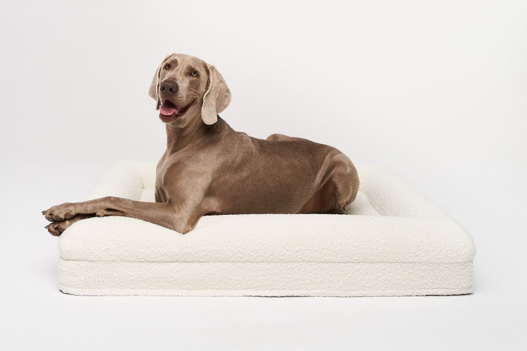 legowisko ortopedyczne dla psa elio.bed boucle cream LARGE