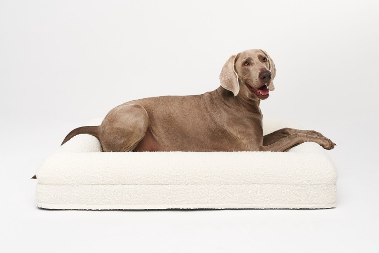 legowisko ortopedyczne dla psa elio.bed boucle cream LARGE