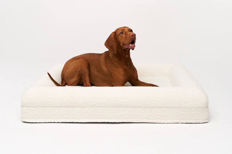 legowisko ortopedyczne dla psa elio.bed boucle cream LARGE