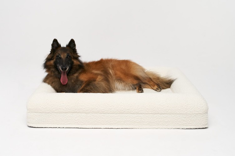 legowisko ortopedyczne dla psa elio.bed boucle cream LARGE
