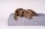 20260215-_LG_7864.jpg