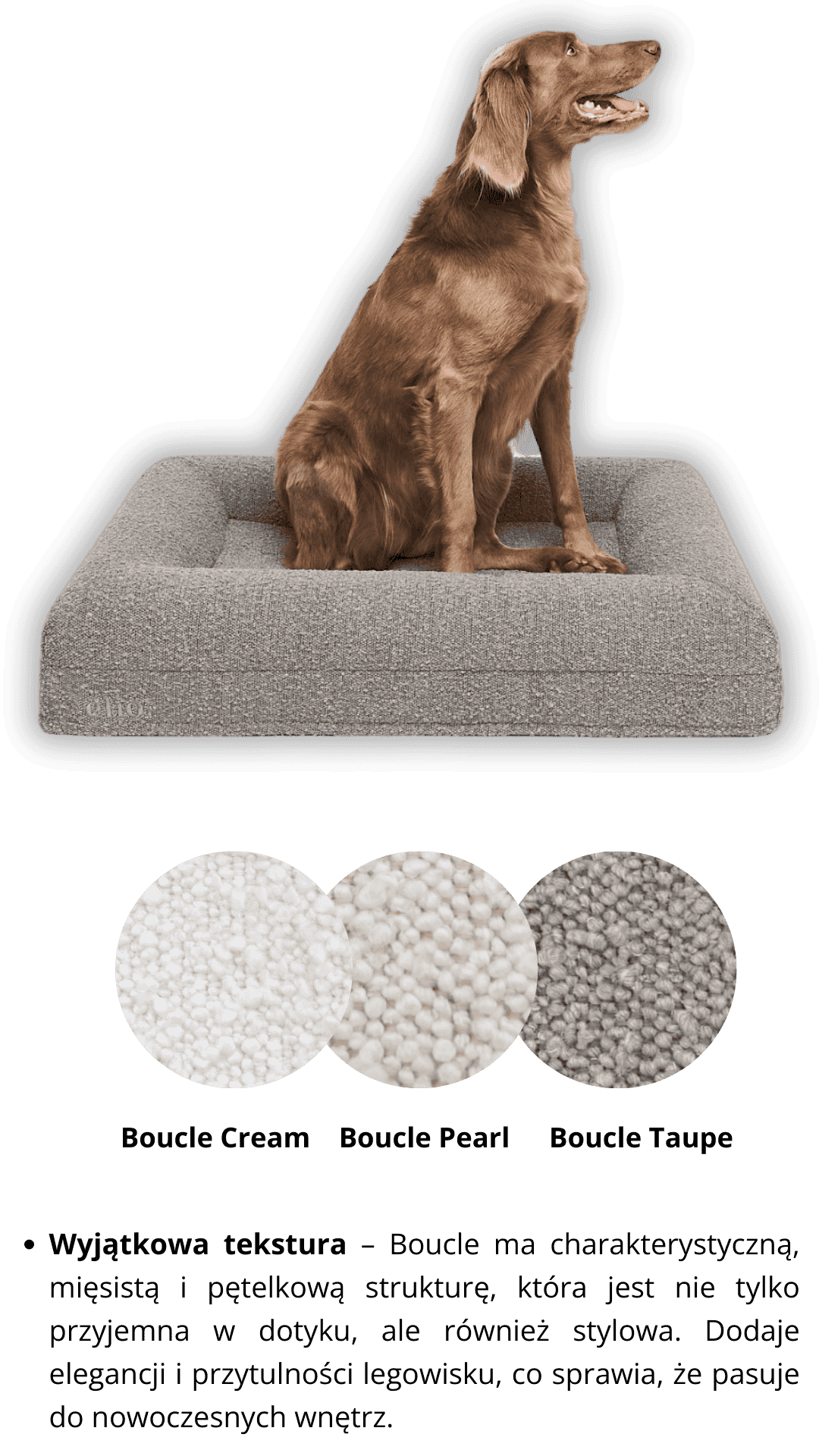 wyżeł weimarski długowłosy na legowisku ortopedycznym z tkaniny boucle w kolorze taupe rozmiar MEDIUM wraz z detalami tkaniny boucle w kolorze cream pearl i taupe
